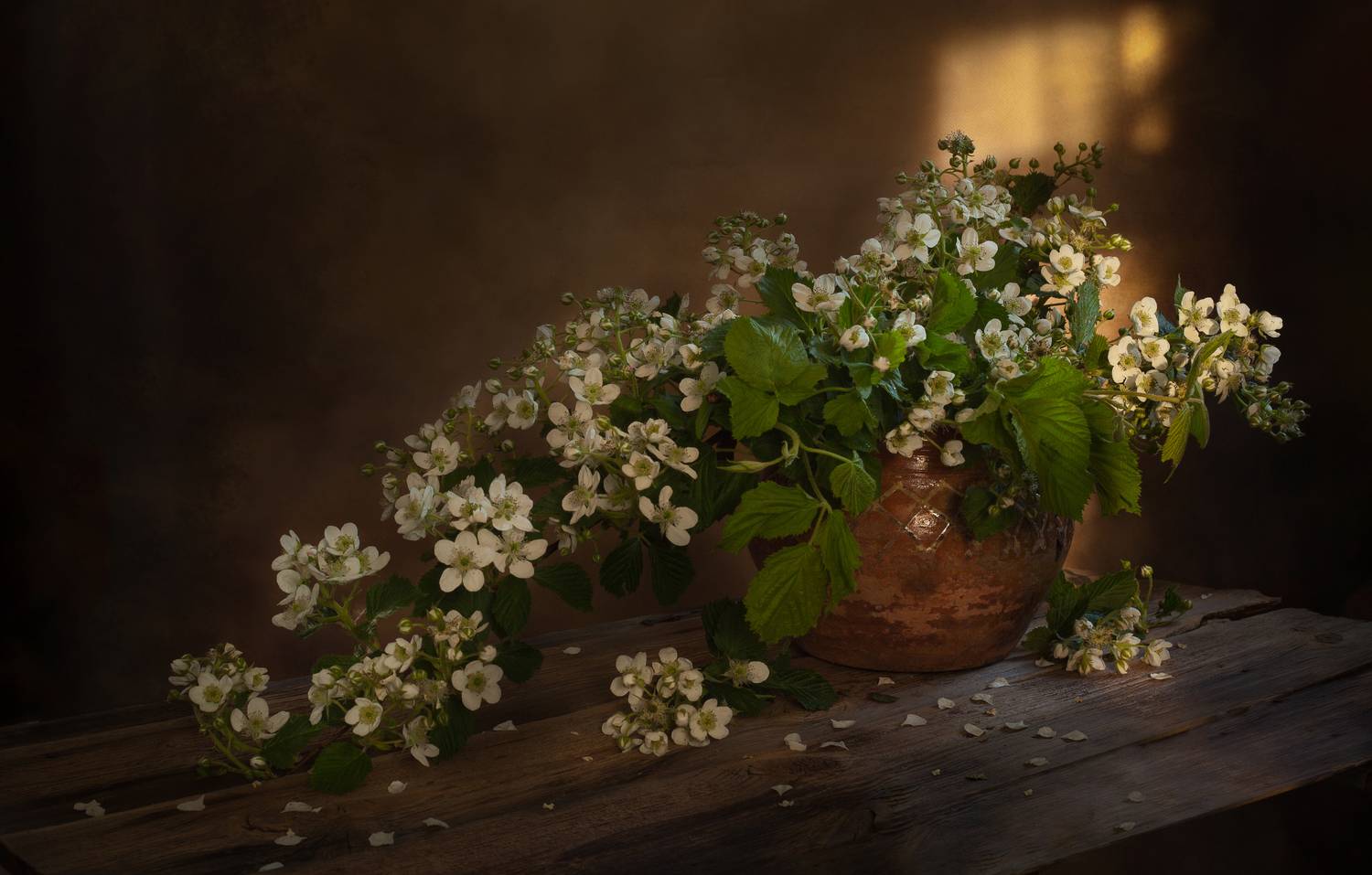 , Хвойнова Елена