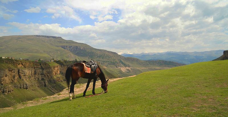 Утро в Хунзахе... фото превью