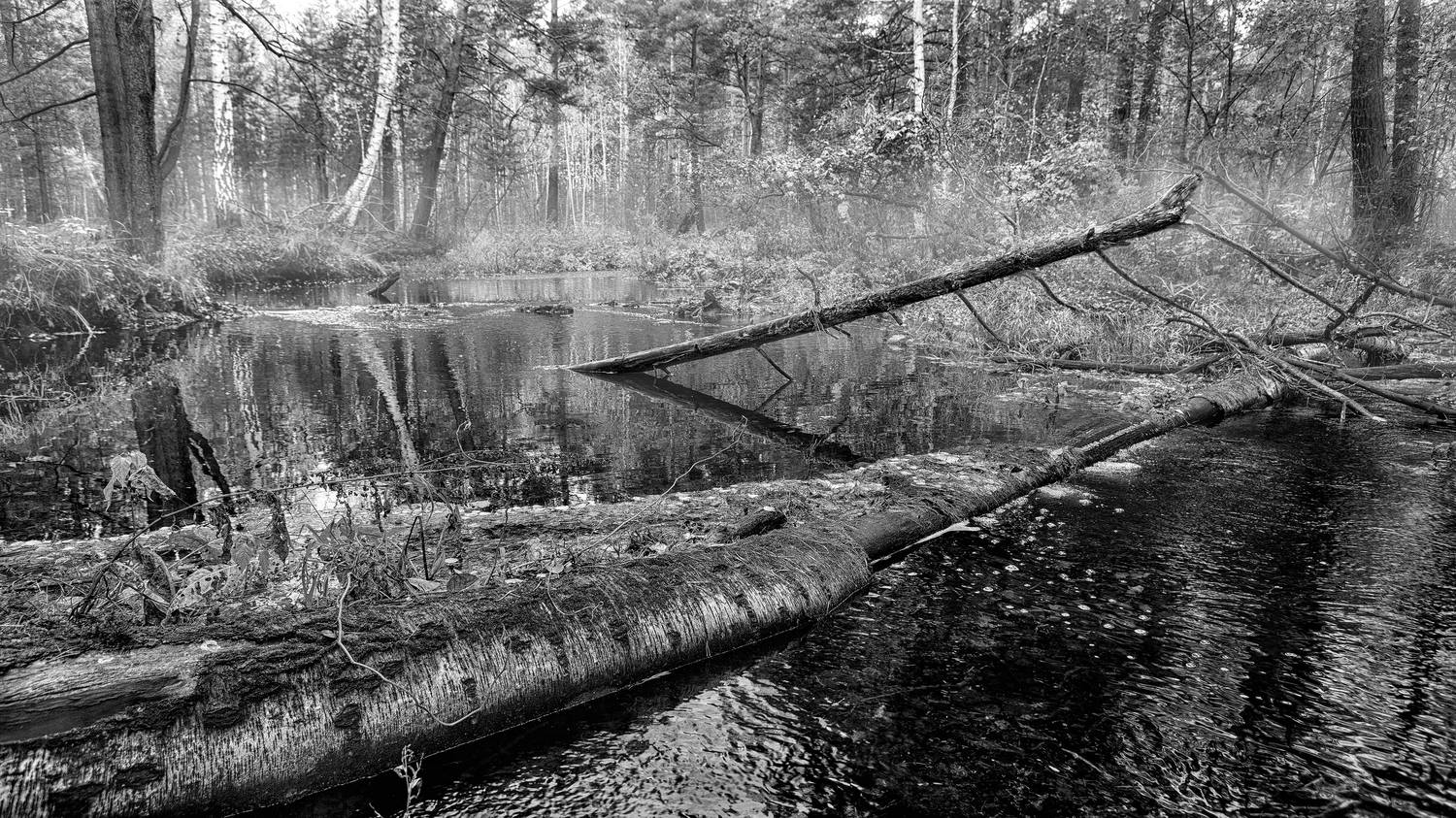 , Ушаков Валерий