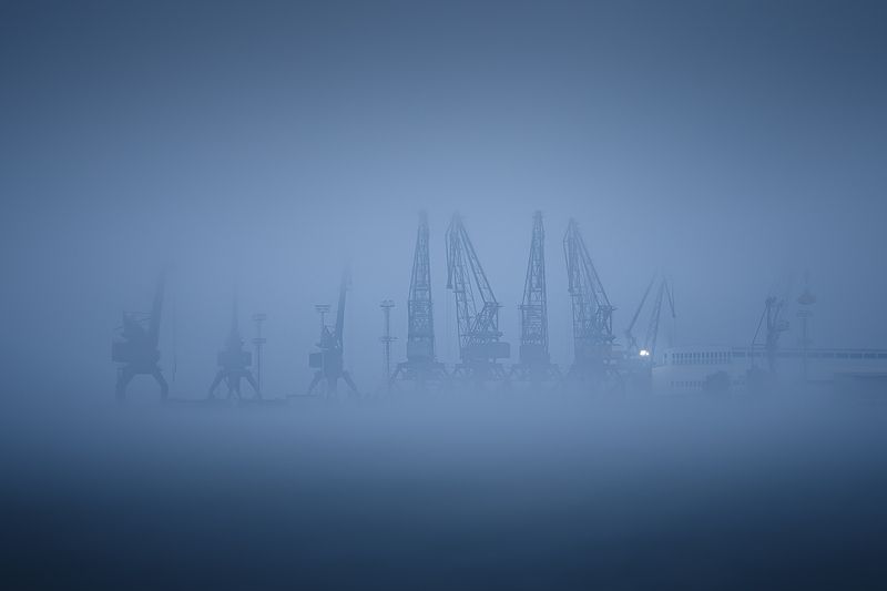 2024-11-08 фото превью