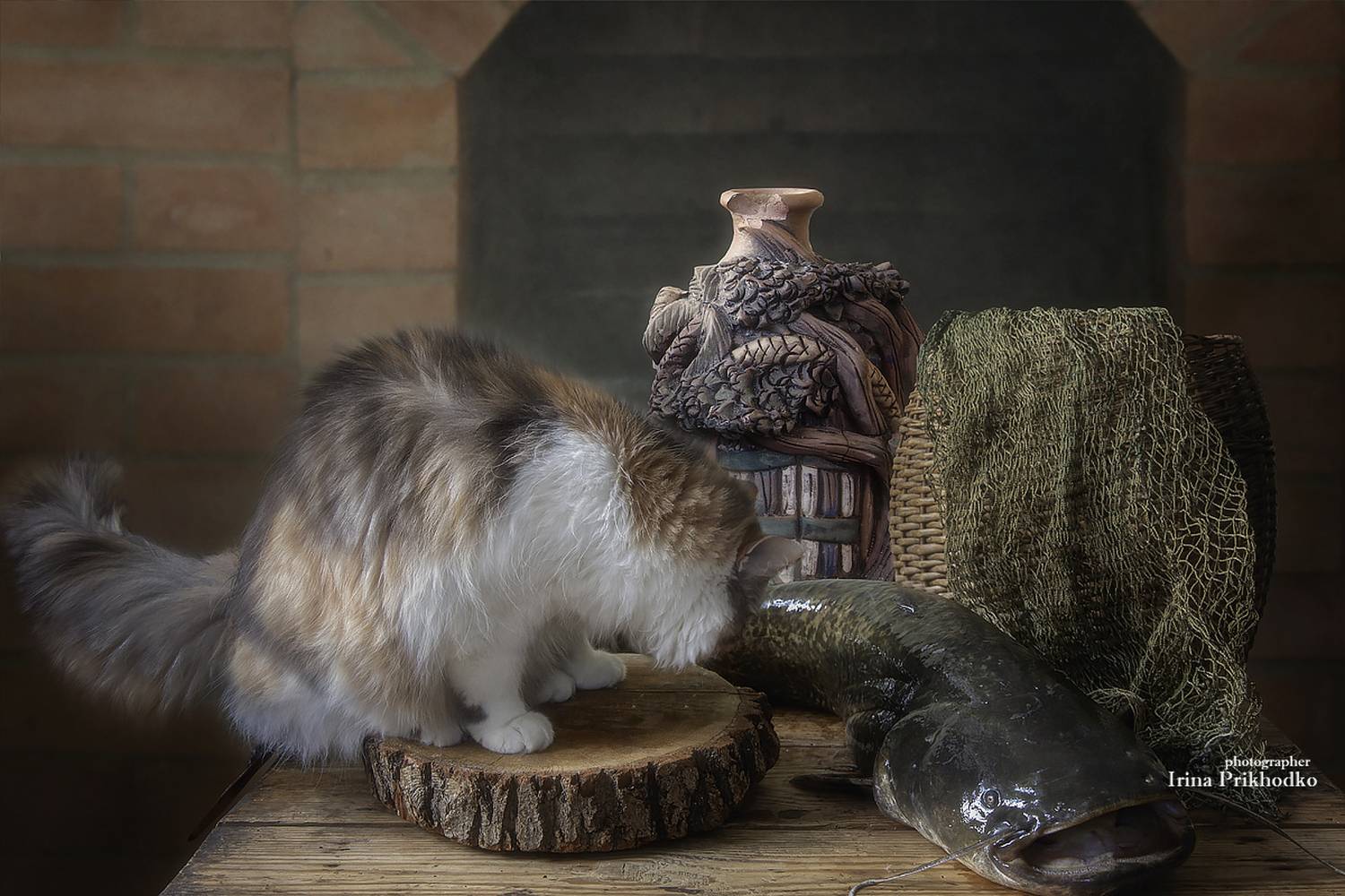 натюрморт, рыба, кухня, любопытная кошка, сом, Приходько Ирина