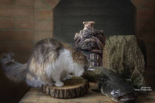 Ой, какая рыба!