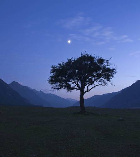 НОЧНОЙ СТРАЖ