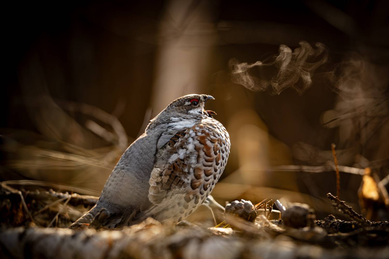 , Владимир Ежов