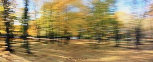 Autumn vertigo