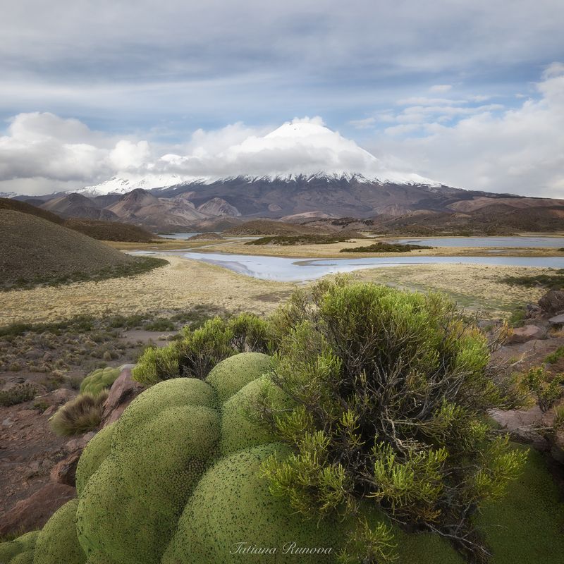 Альтиплано Чили фото превью