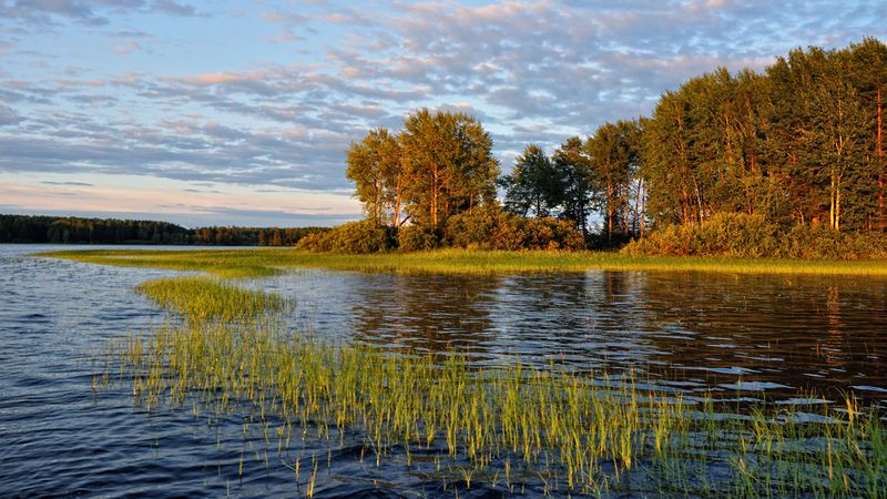 Щучья заводь. фото превью