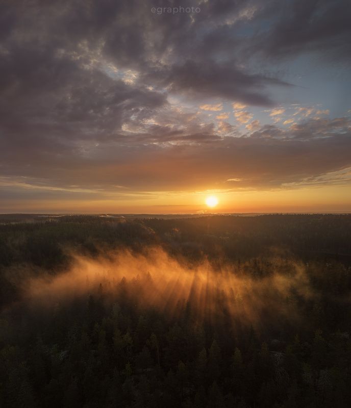 Хийси фото превью