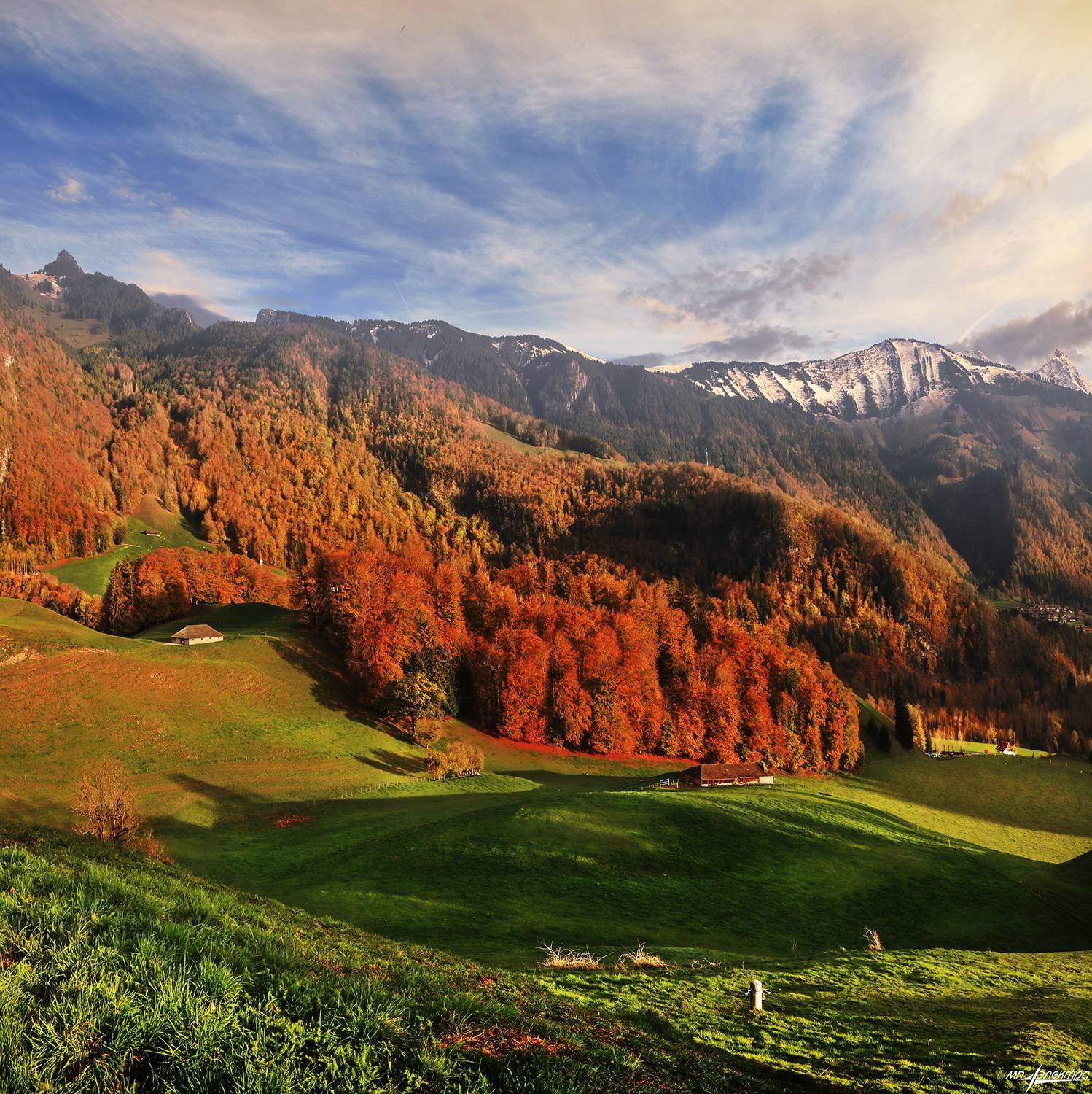 swiss, Матвеев Николай