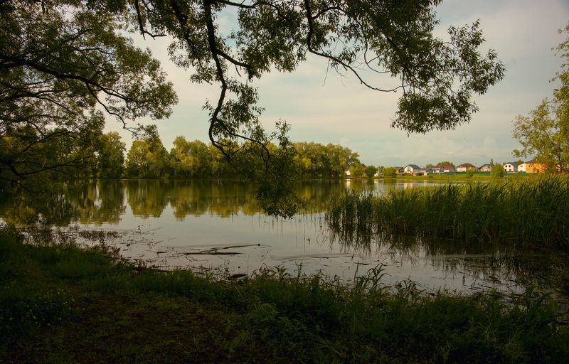 ****** фото превью