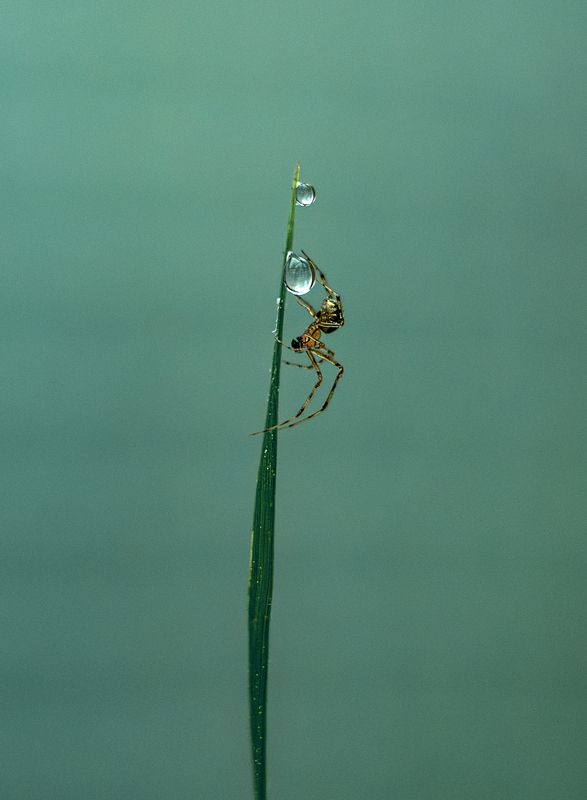 ... фото превью
