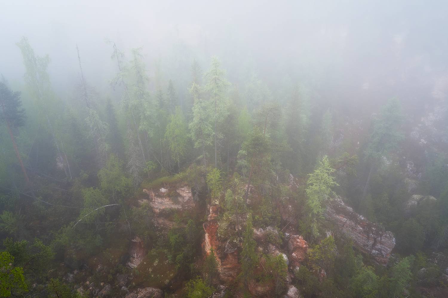 , Александр Ермолин