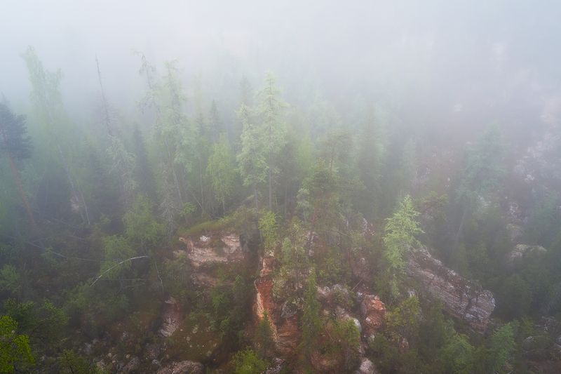 Туман ласкает ели, скалы спят… фото превью