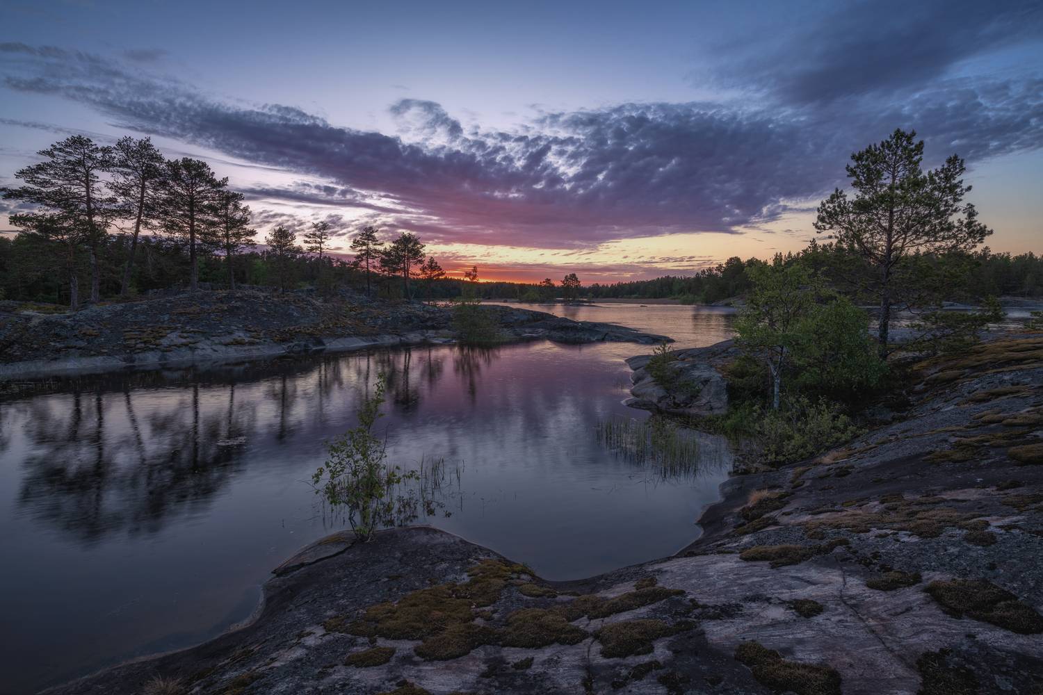 , Евдокимов Максим