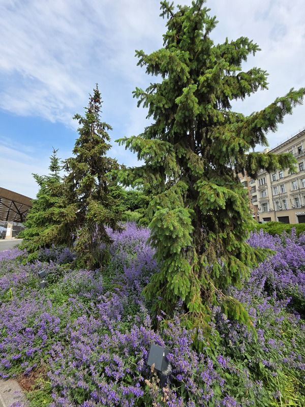 москва, павелецкая площадь Paveletskaya Plaza фото превью