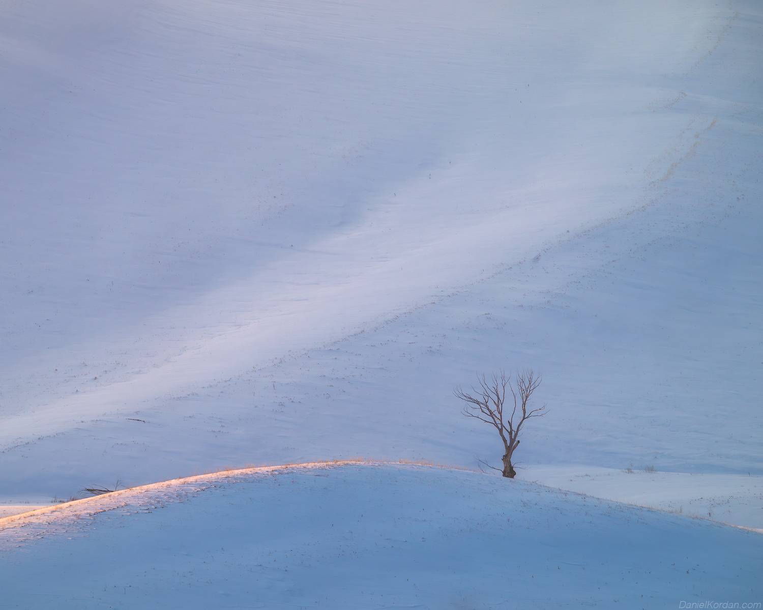 , Даниил Коржонов