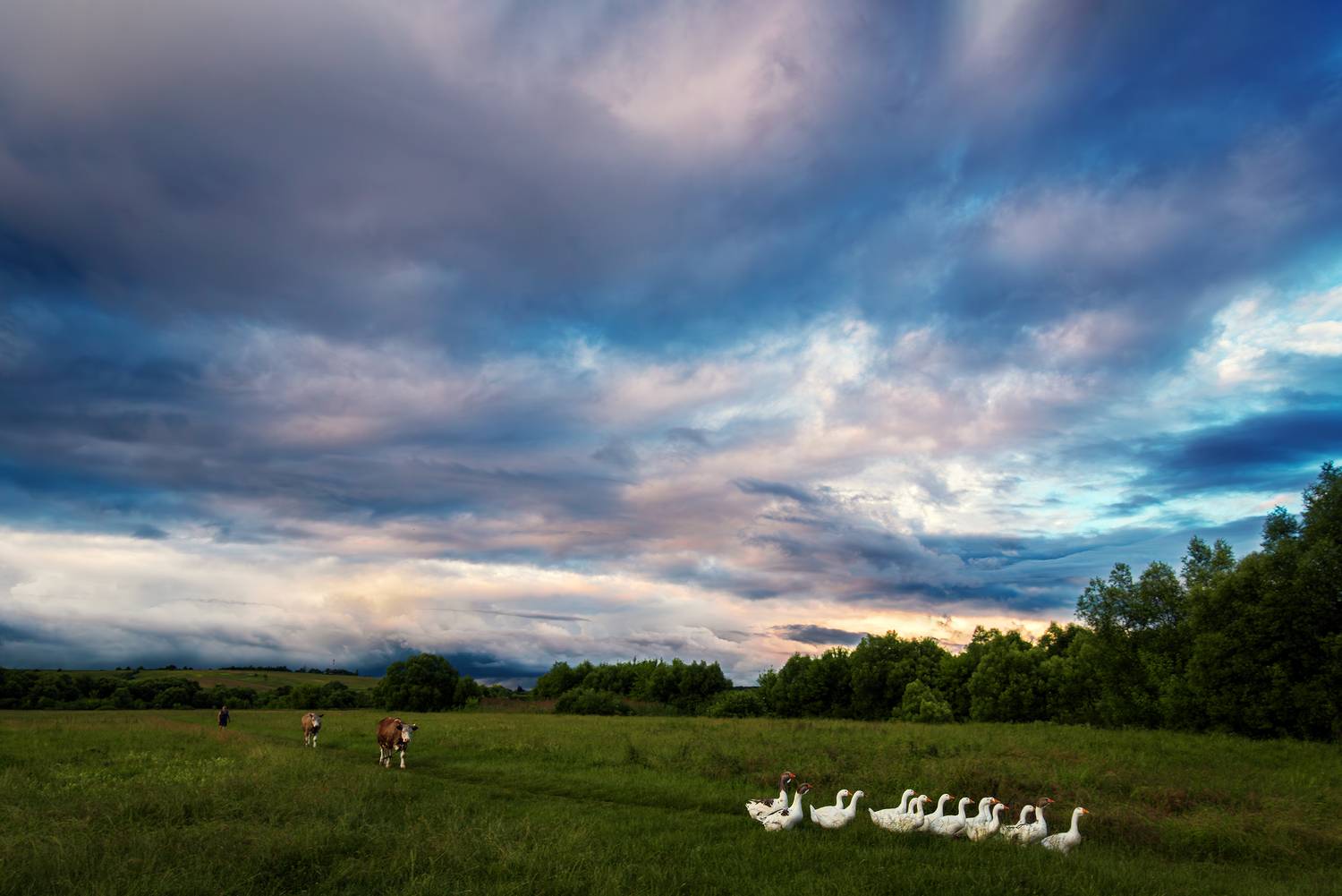 , Павел Абакумов