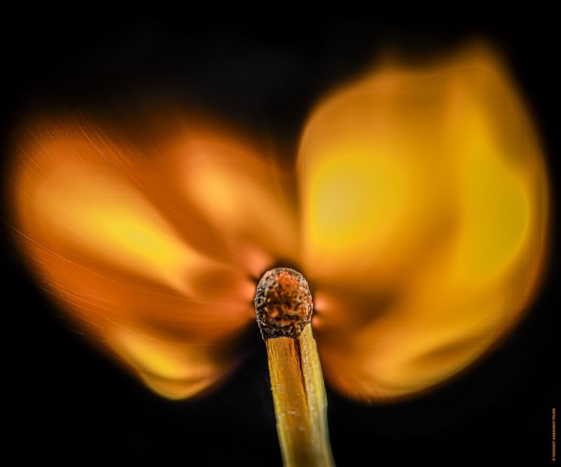 огонь, дым, вспышка, макро, этапы, отношения Этапы  фото превью