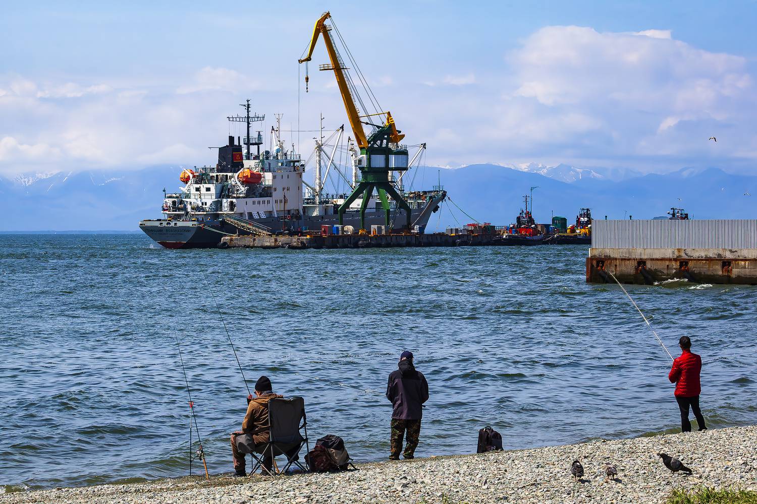приёмно-транспортный рефрижератор; геннадий водолазский; судно; корабль; башенный кран; погрузка; выгрузка; пирс; рыбаки; бухта; залив; авачинская бухта; тихий океан; берег; сопки; камчатка; камчатский край; озерновская коса; город; петропавловск-камчатск, Уткин Дмитрий
