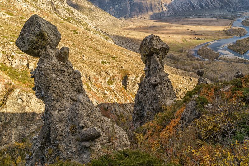 Россия, Алтай, природа, пейзаж, долина Челышман, Каменные грибы Каменные грибы фото превью