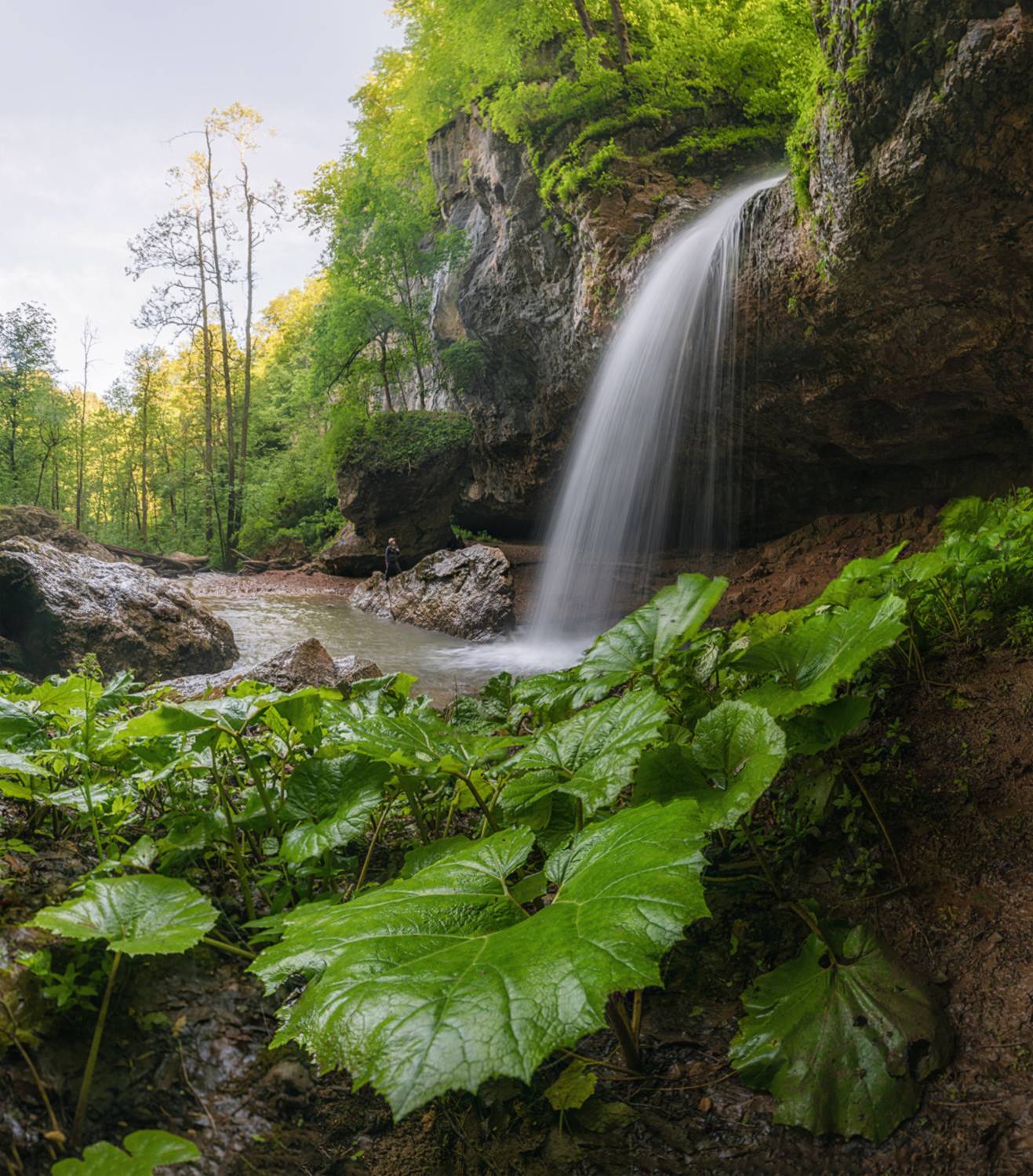мезмай, темнолесская, река, водопад, чинарский, июнь, Мысливцев Николай