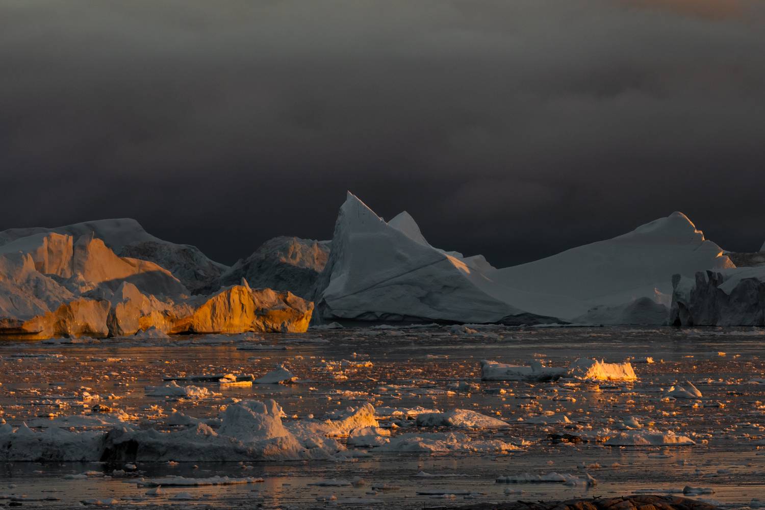 , Евгения Чех