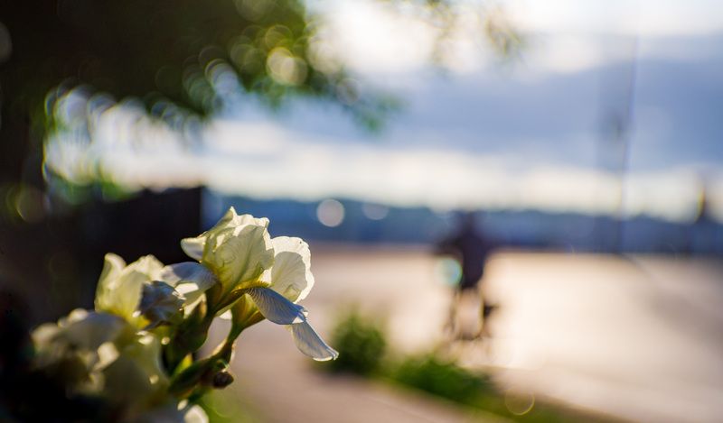 Утро фото превью