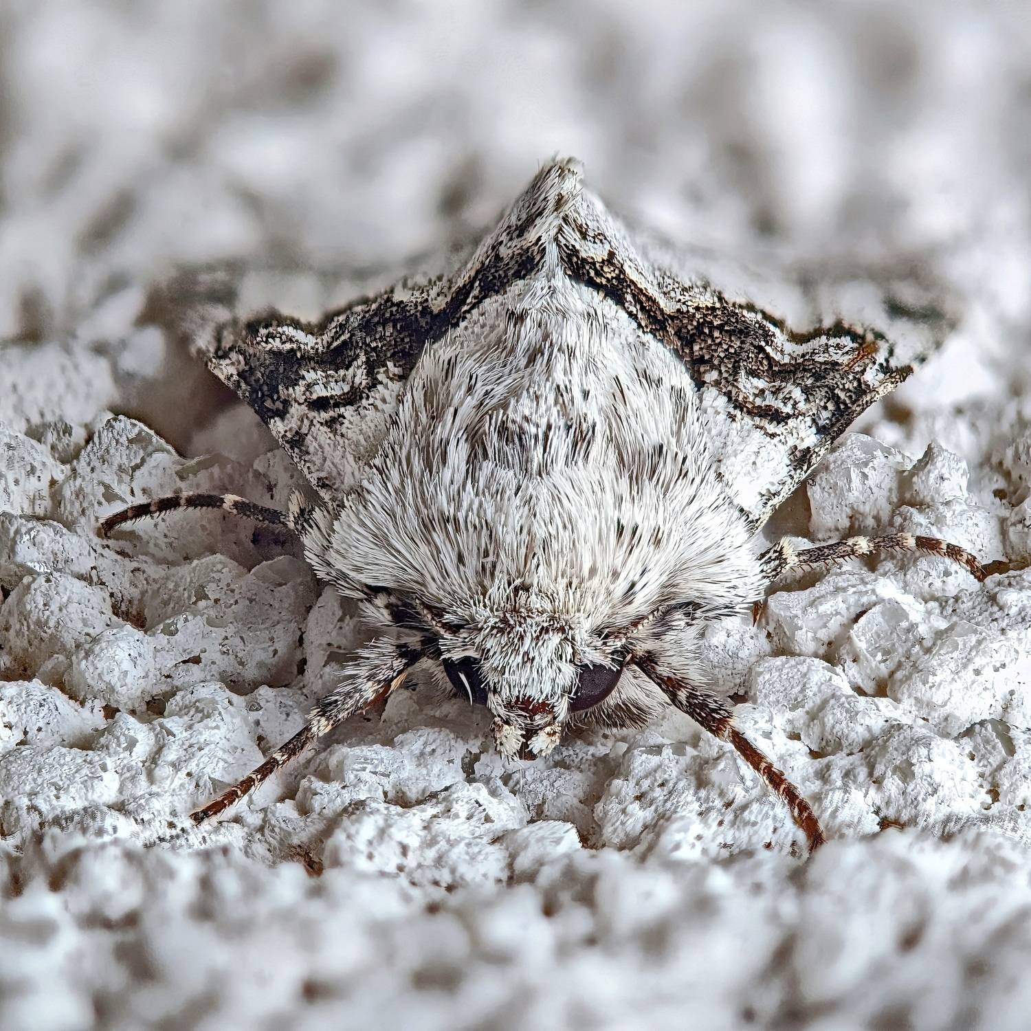 , Кузнецов Дмитрий