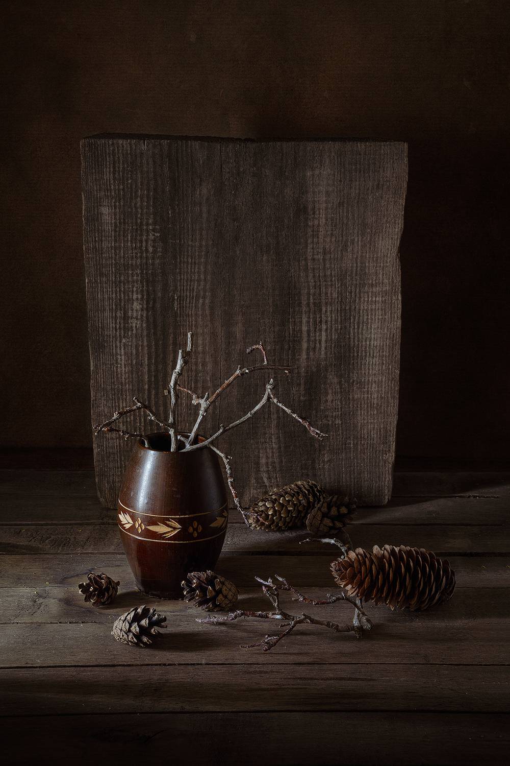 шишки, ветки, доска, кубышка, свет, еловый, сосновый, Алексей Бычков