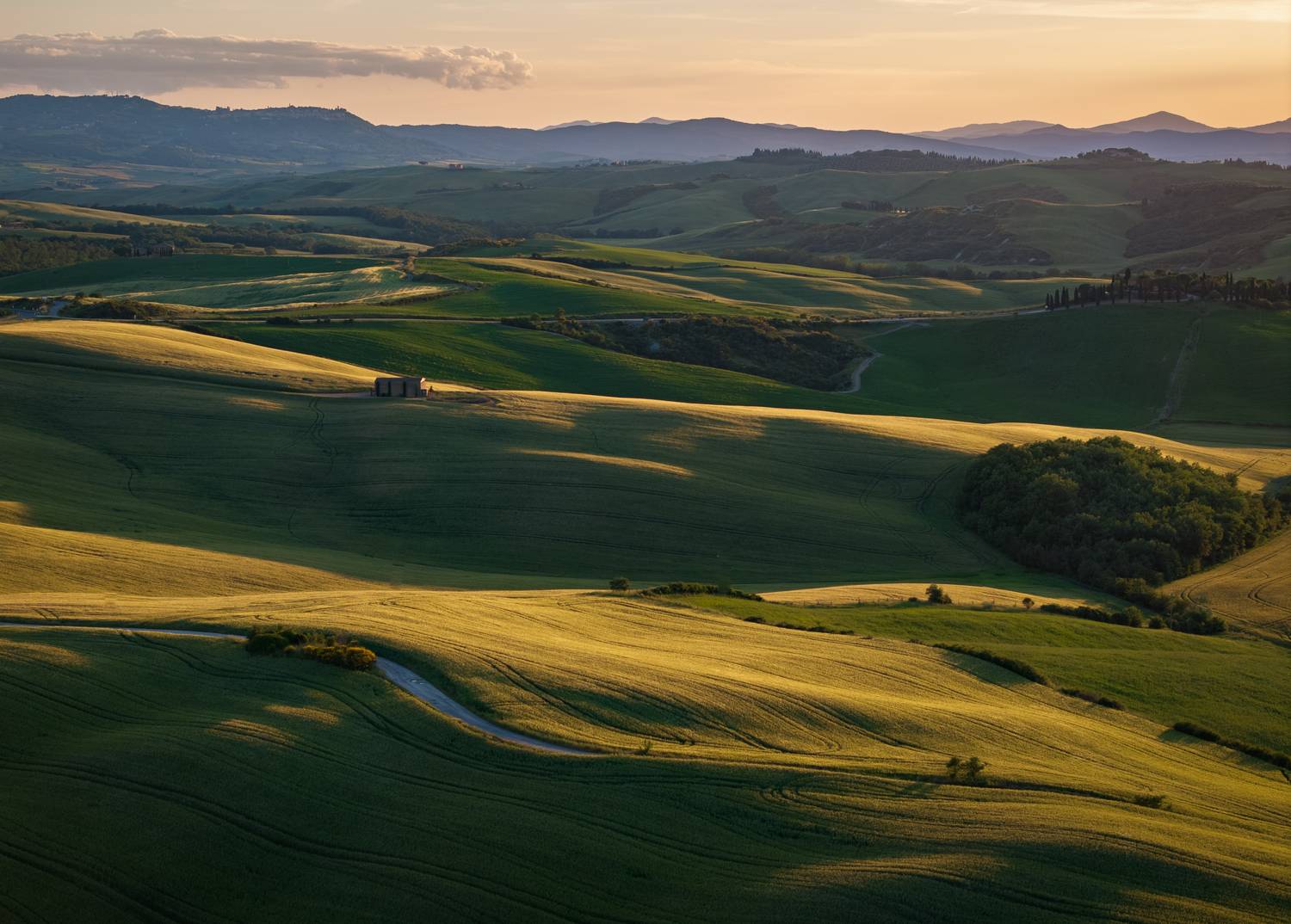 , Алекс Римский