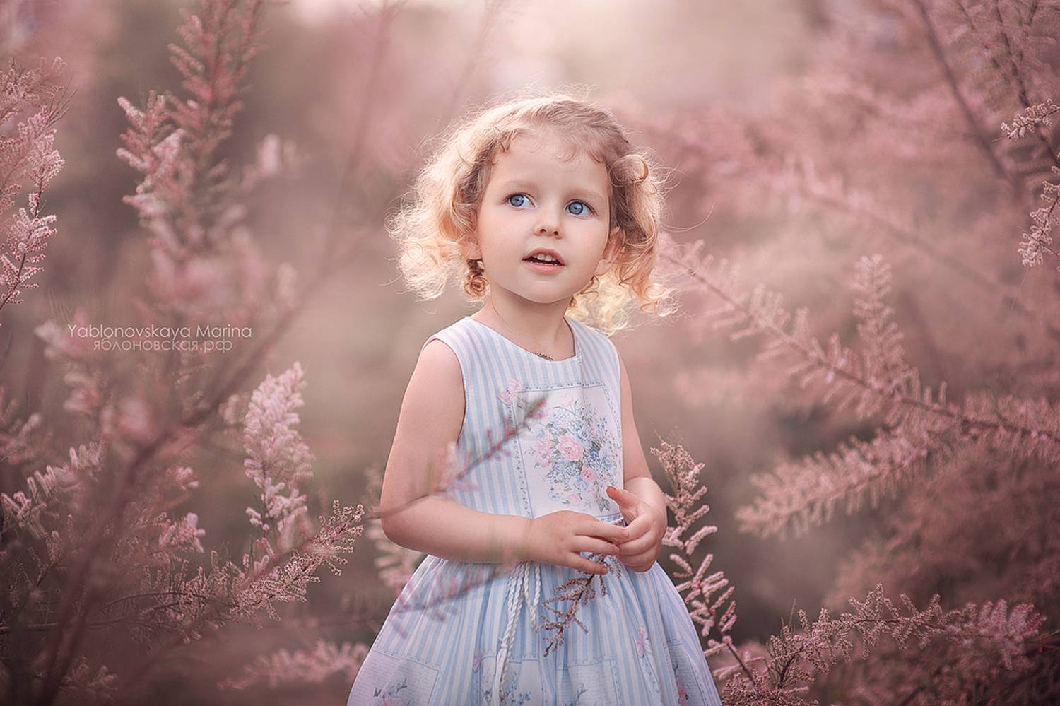 , Яблоновская Марина