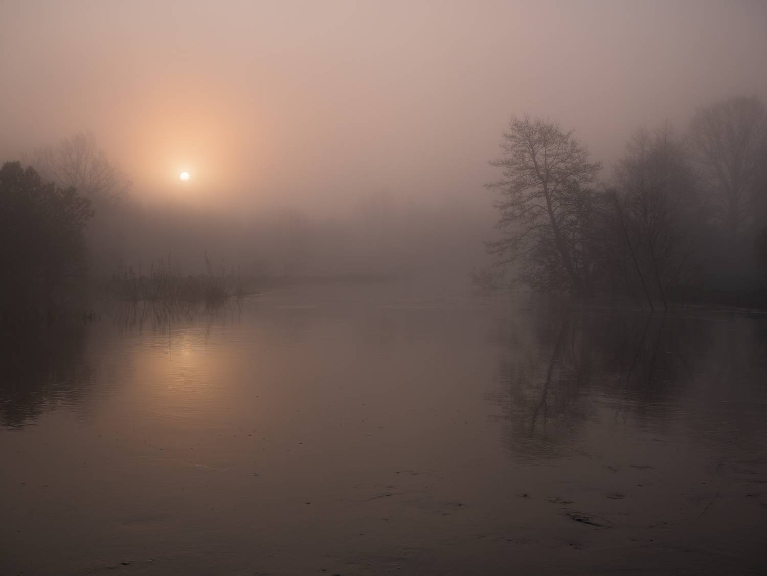 , Врубель Андрей