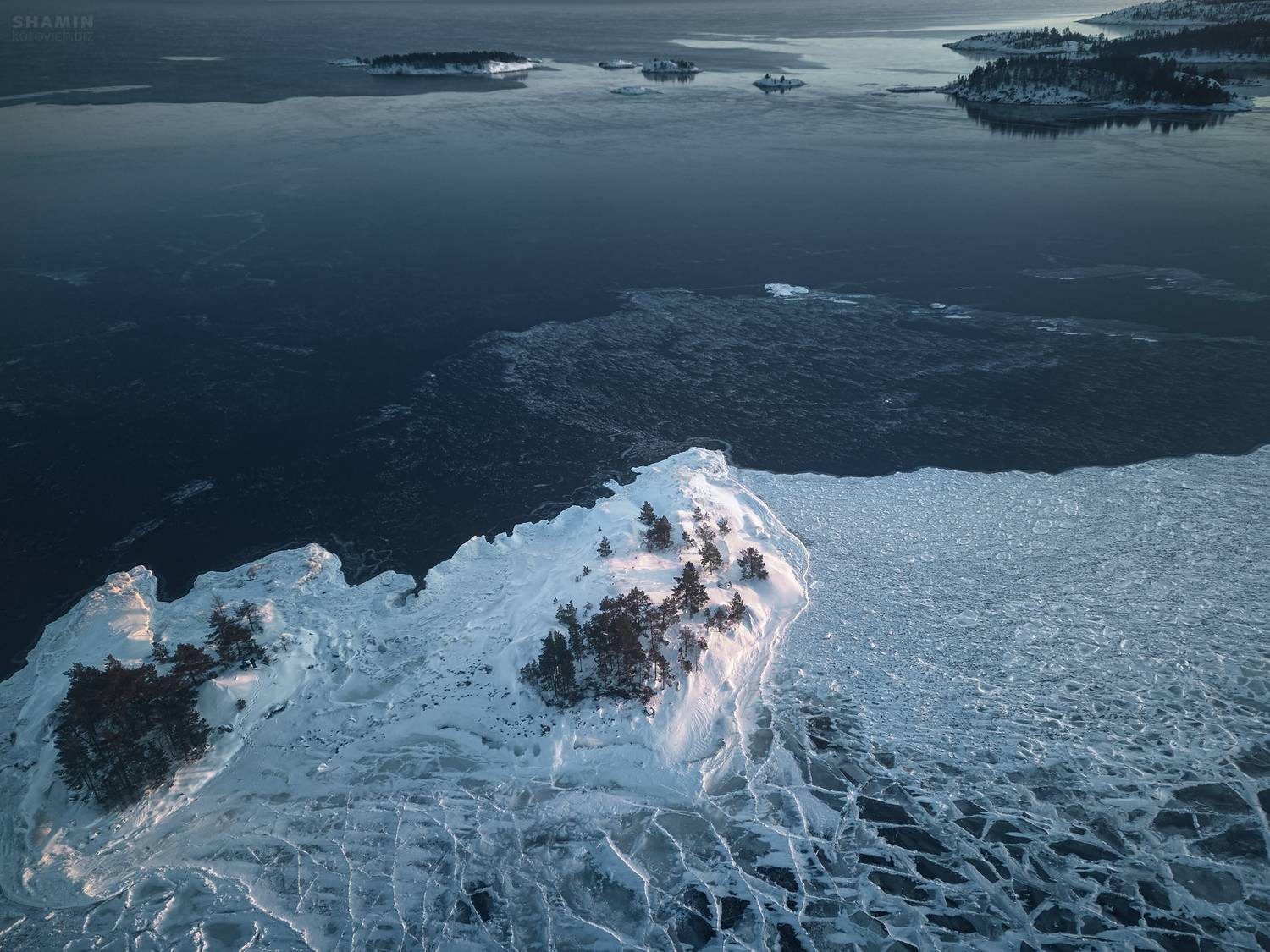 , Константин Шамин