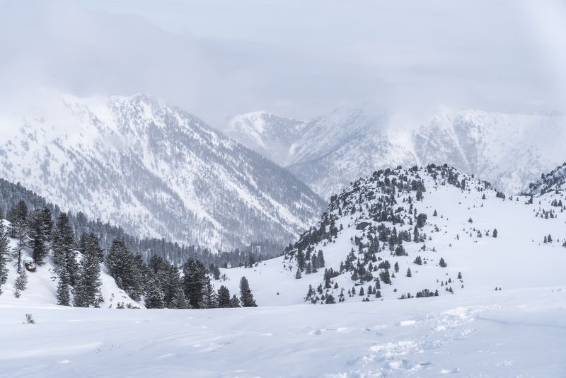 Зима, снег, Хамар-Дабан, Прибайкалье, закат На перевале Босан фото превью