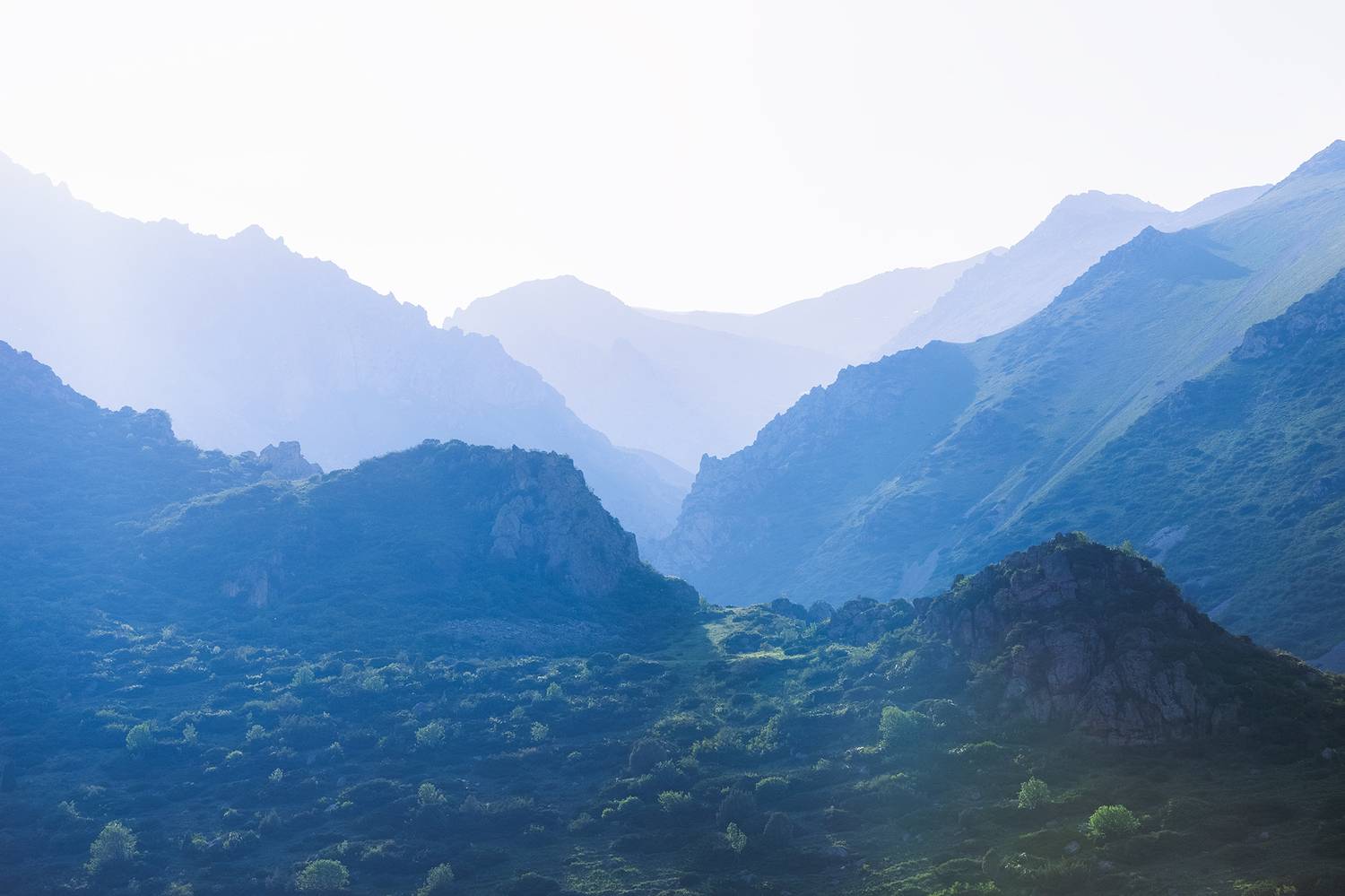 кыргызстан, ала-арча, Элина Магалимова