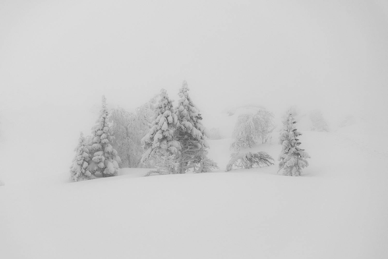 , Бодрягин Виталий