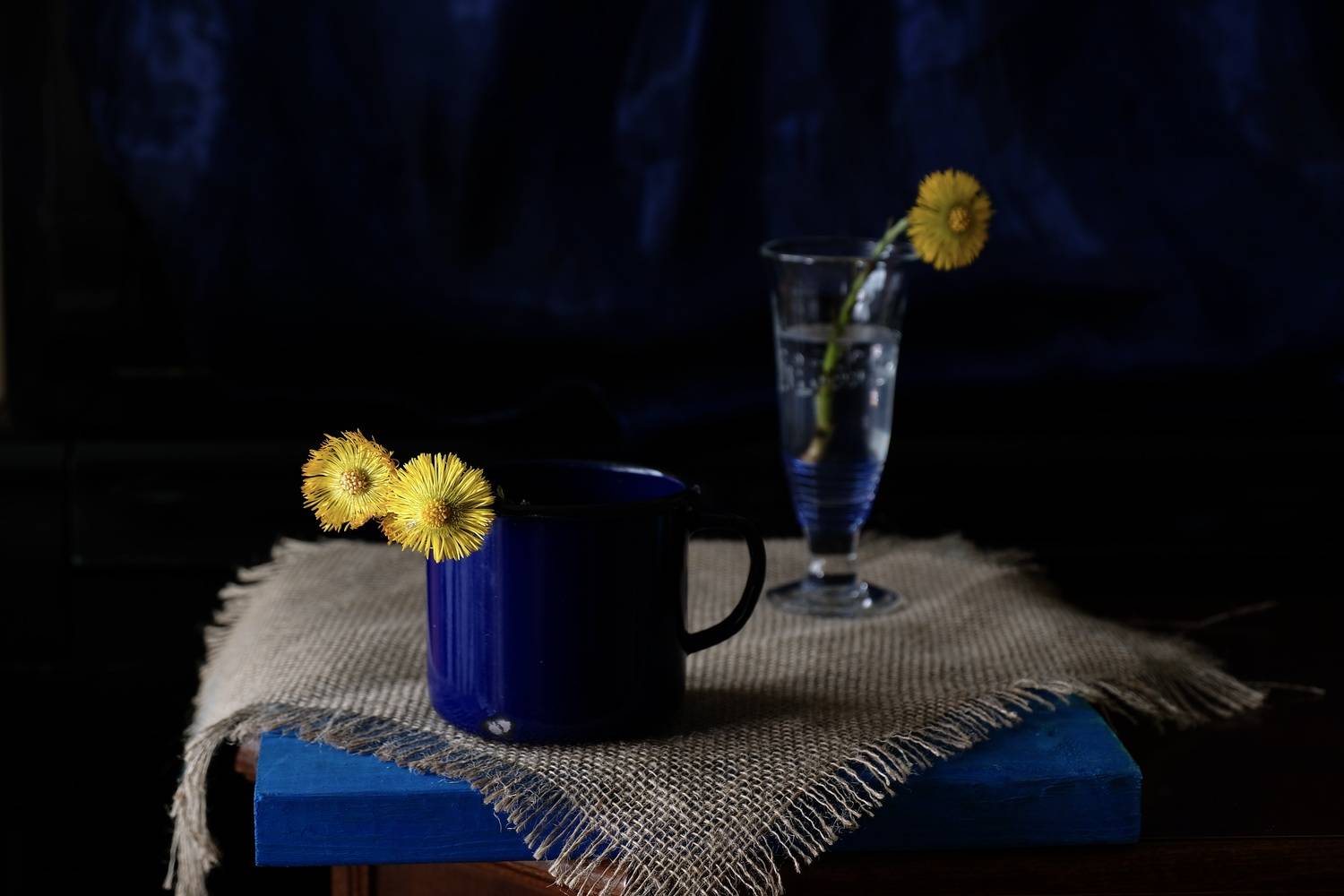 Still life, Flowers, Blue, Colors, Mood, Yellow, Цветок Мать-и-мачеха,, Svetlana Povarova Ree