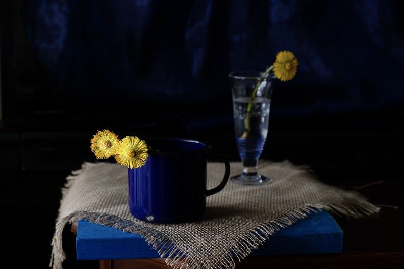 Still life, Flowers, Blue, Colors, Mood, Yellow, Цветок Мать-и-мачеха, Просто Мать-и-мачеха фото превью