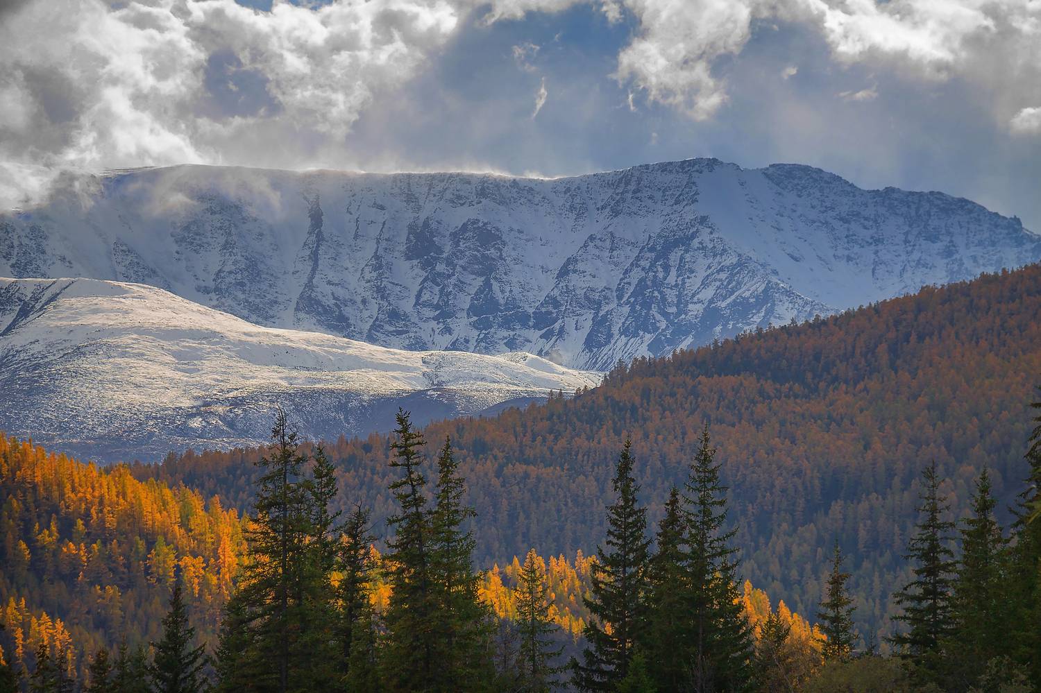 , Юдинских Марина