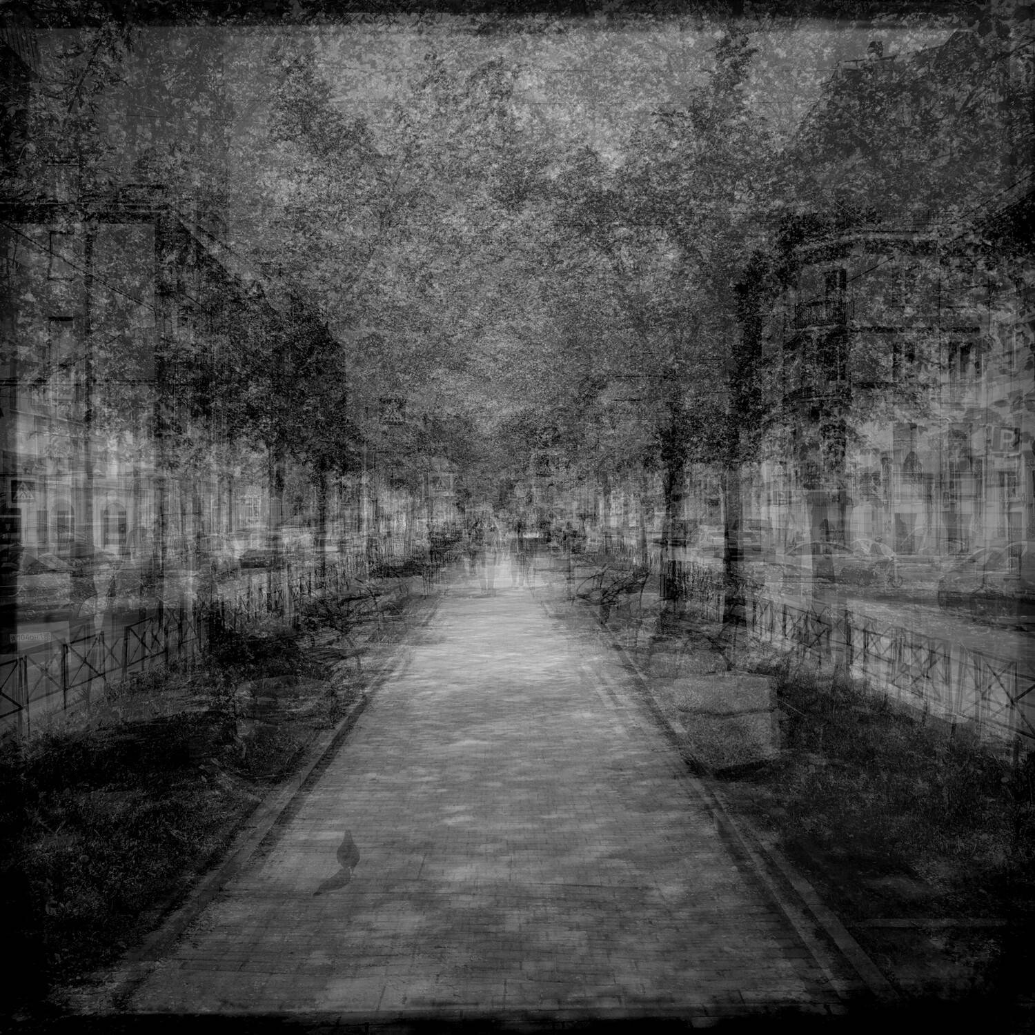 , Антон Лаба