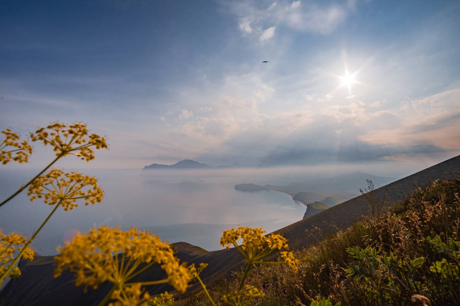 , Кривцов Андрей