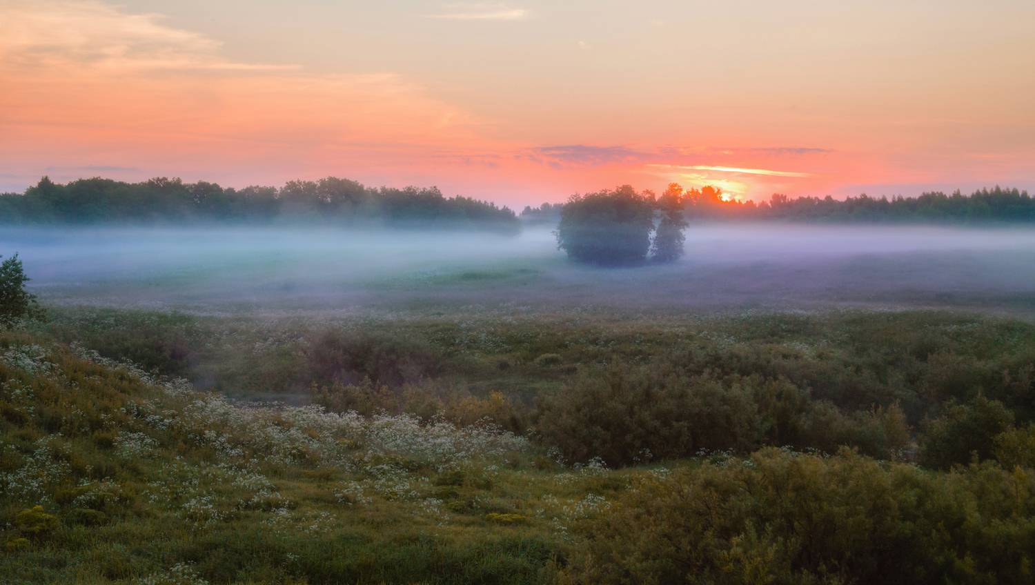 туман деревня утро пейзаж восход, Мурзинов Виктор