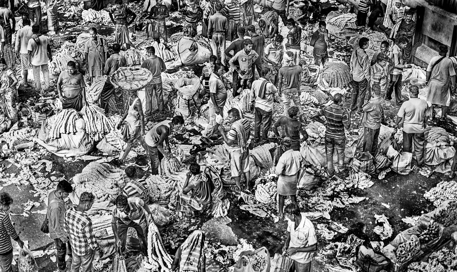 , Гиль Александр