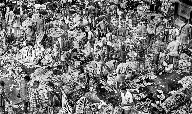 Рынок цветов фото превью