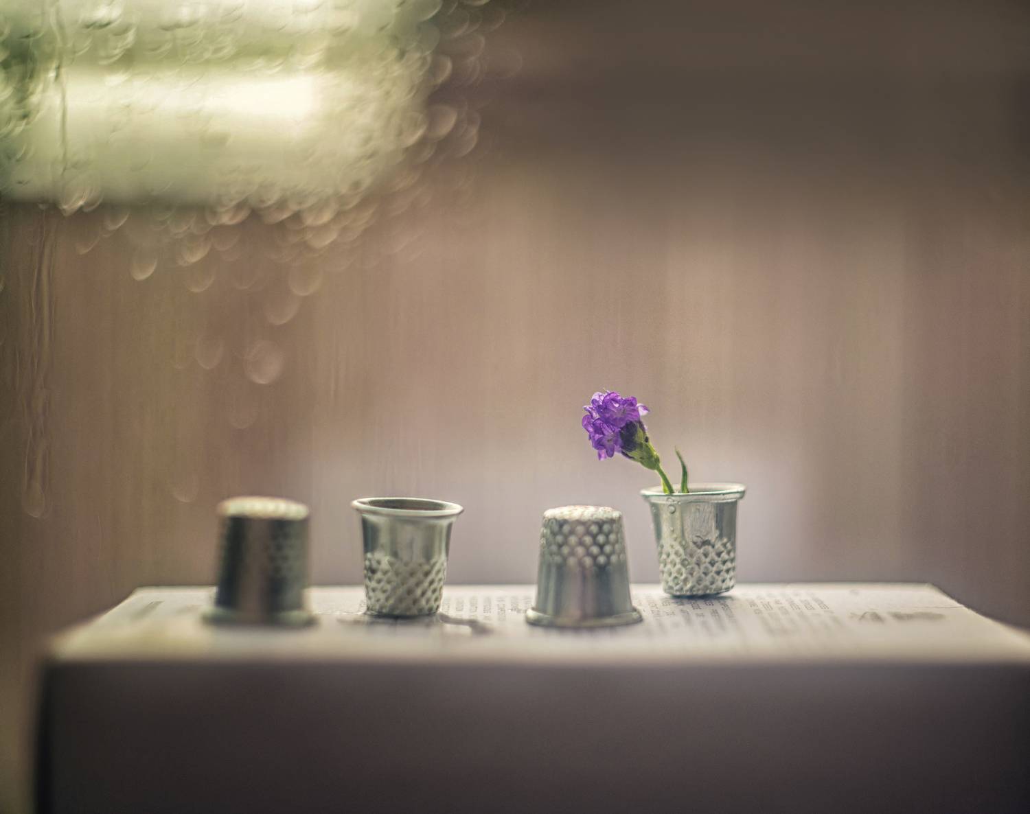 , Сигидова Ирина