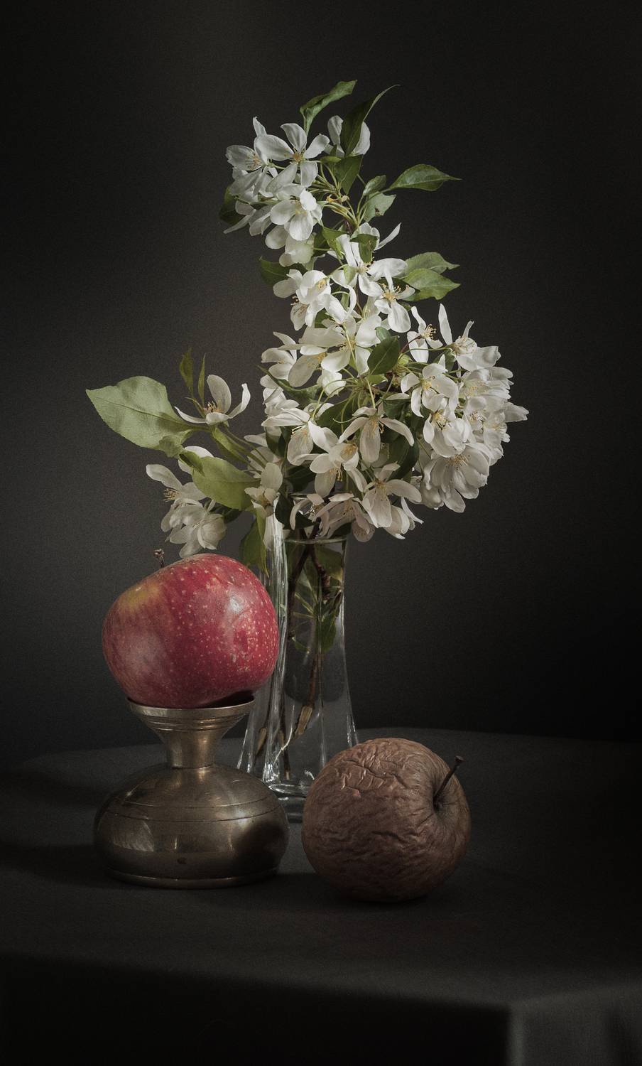 , Хвойнова Елена