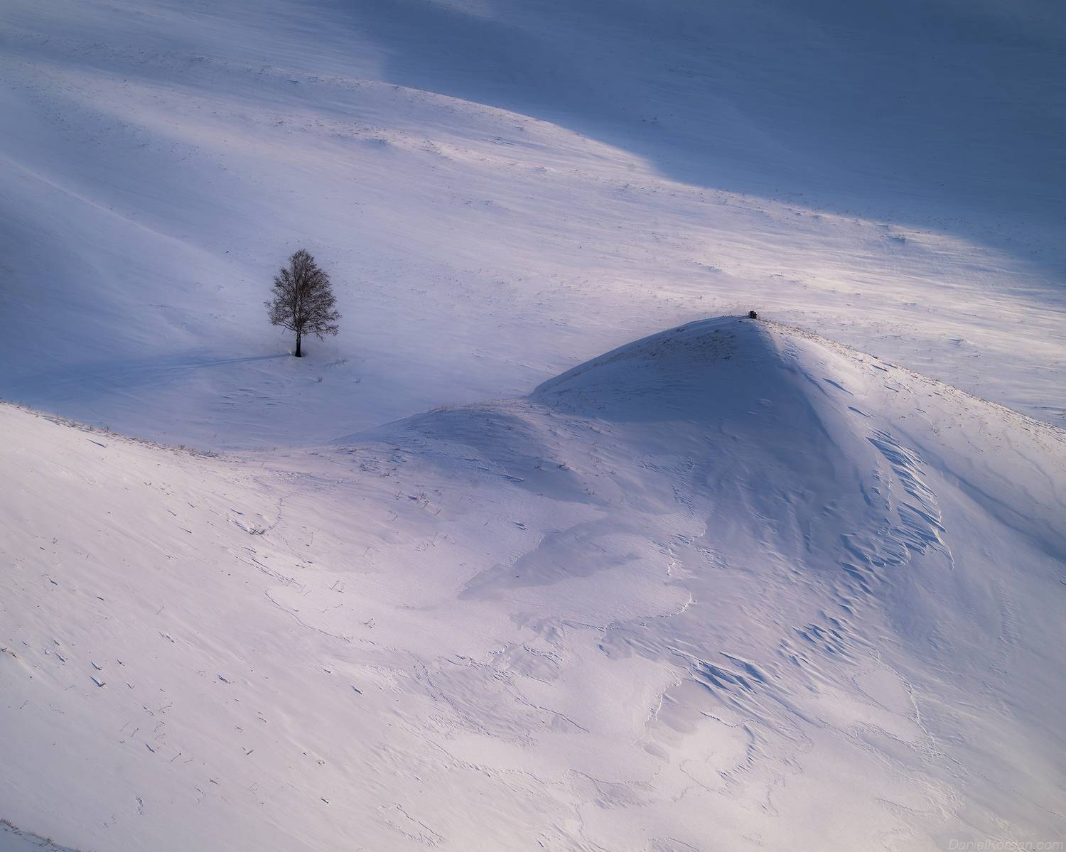 , Даниил Коржонов