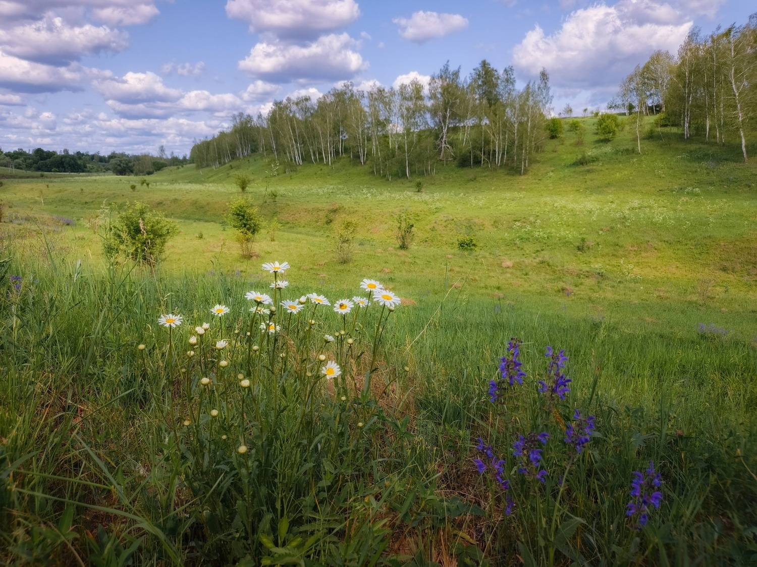 , Кондрашова Светлана