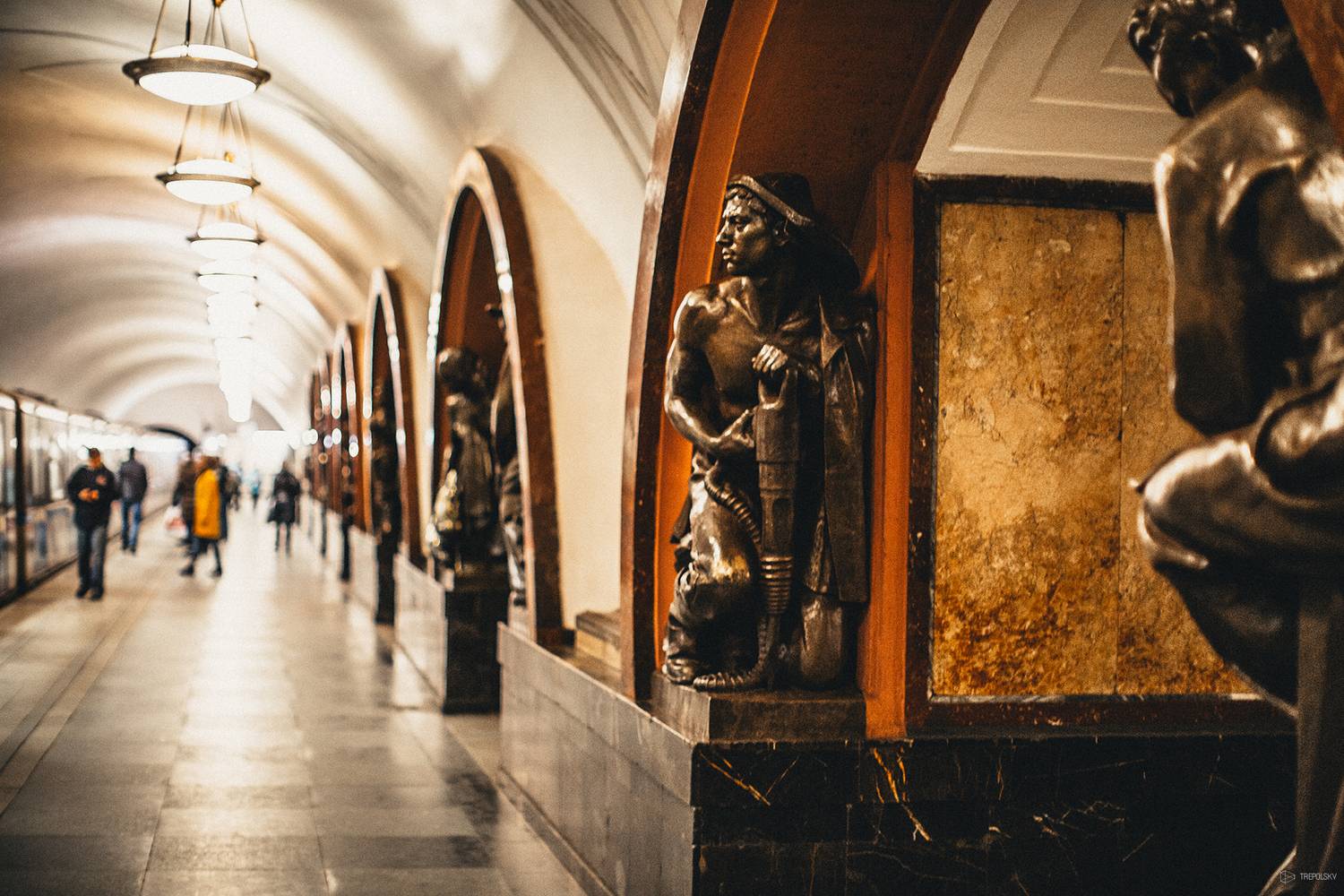 , Трепольский Дмитрий