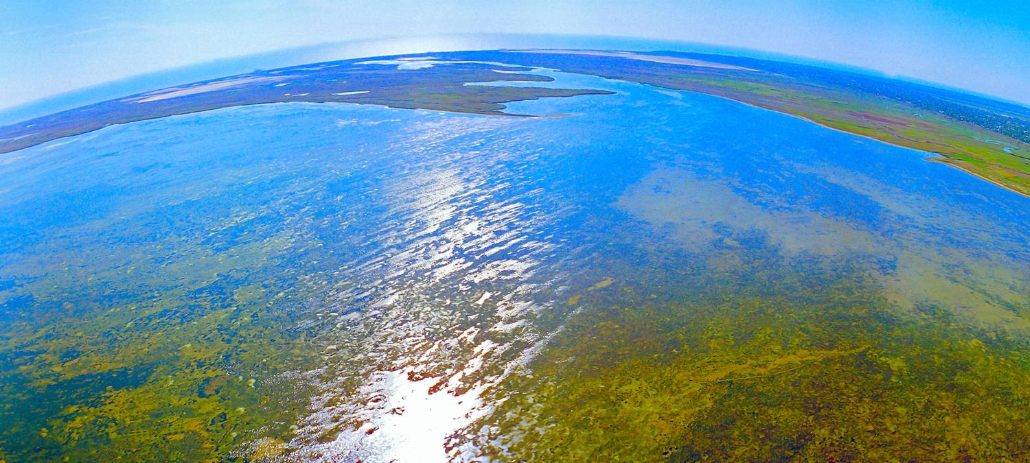 , Андрей Петросян